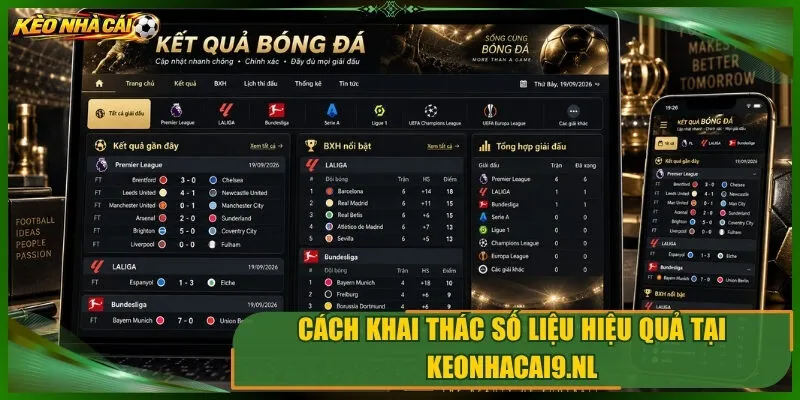 Cách khai thác số liệu hiệu quả tại ryokajitani.com