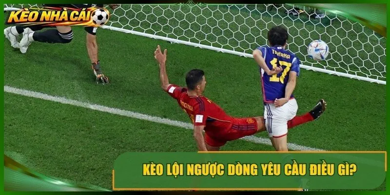 Kèo lội ngược dòng yêu cầu điều gì?