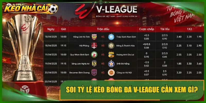 Soi tỷ lệ kèo bóng đá v-league cần xem gì?